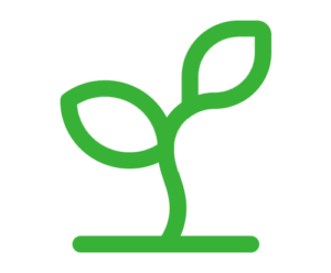 3-Growing